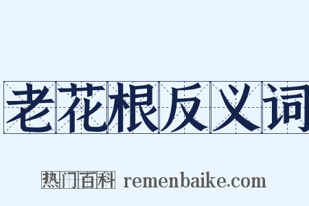 老花根反义词是什么意思的图片